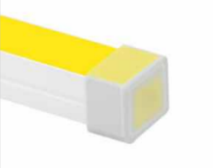 Neon Flex End Cap